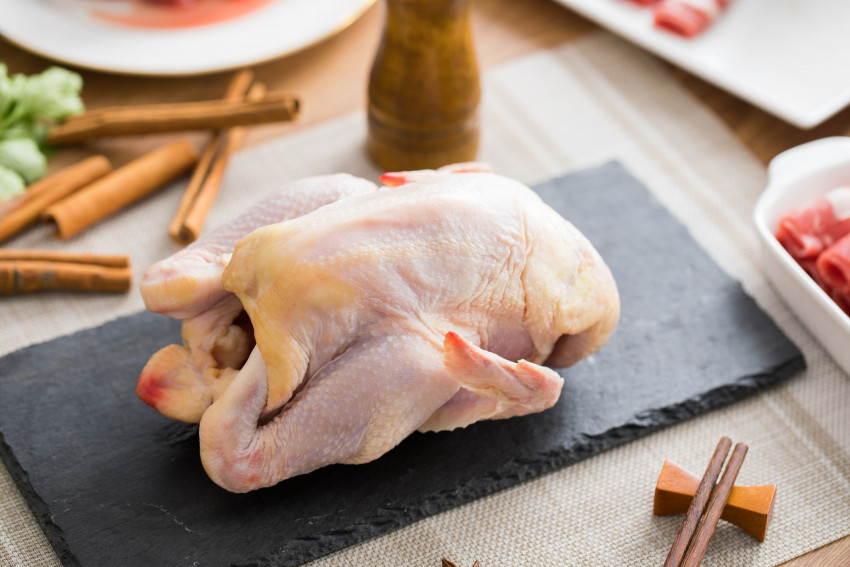 鹦鹉热是啥病？中山一厨师因长期接触禽类持续发热！